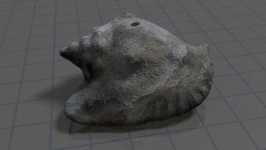 Conch Scan / Render Spinning Blender Animation SWF by blockh34d