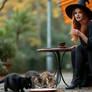 Clever Cats - Witch Marie and Friends