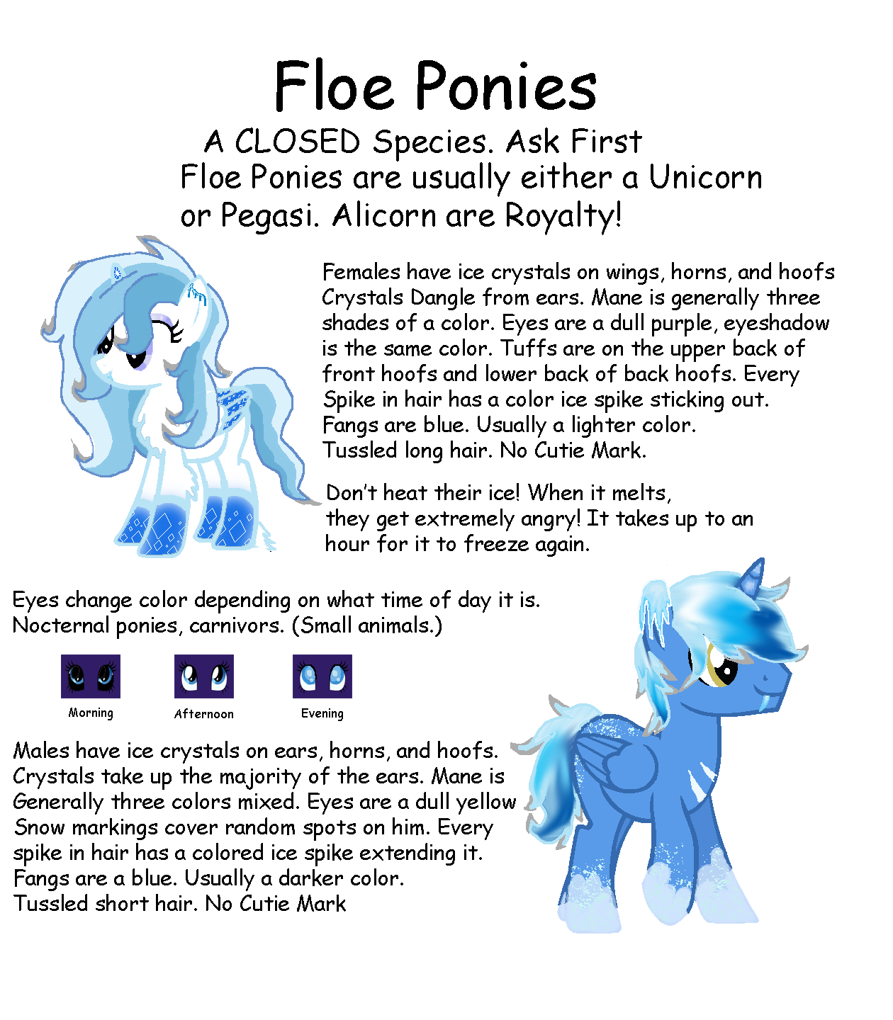 Floe Ponies