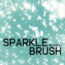 SPARKLE BRUSHES