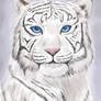 Year of the White Tiger