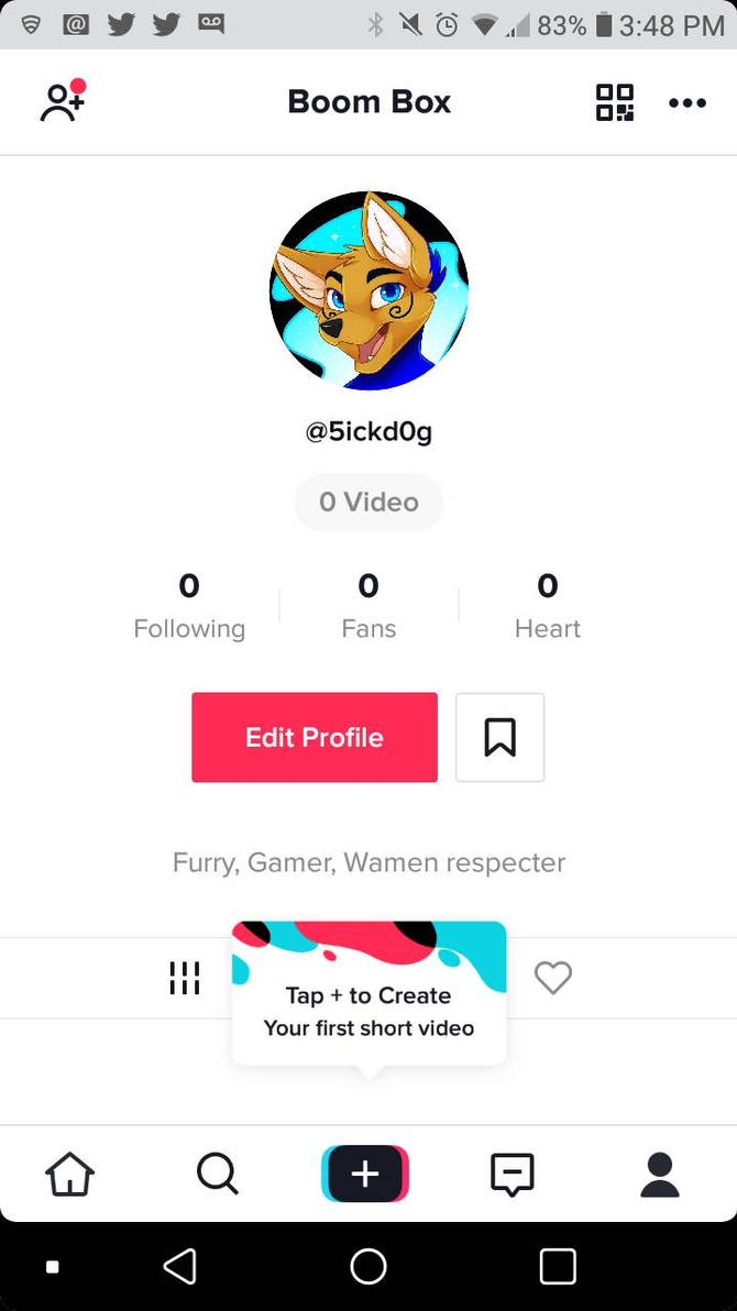 Tiktok essay writing image