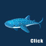 Whale Shark