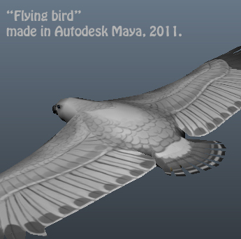 Maya: Flying bird