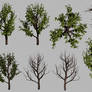 Free Small Bush - 3D .Obj + .Png Transparent Image