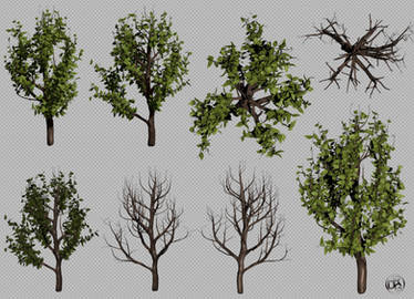 Free Small Bush - 3D .Obj + .Png Transparent Image