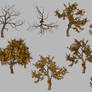 Free Fall Tree 3D .Obj + 4K .Png Transparent Image