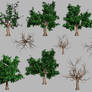 Free 4K Transparent 3D Tree .PNG + .OBJ Download