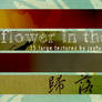 Textures 10:Flower in the Wind