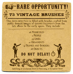 Brushes 19: Vintage Ornaments