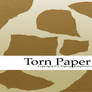 Torn Paper