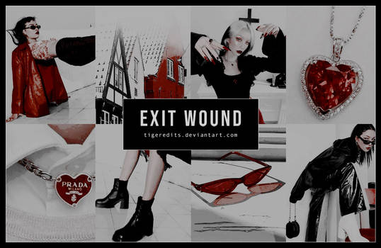 Exit Wound [PSD]
