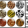 Animal Print PINS PNG