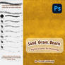 Sand, Grain Brushes for Photoshop