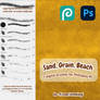 Sand, Beach Brushes | Photopea, Photoshop CS+