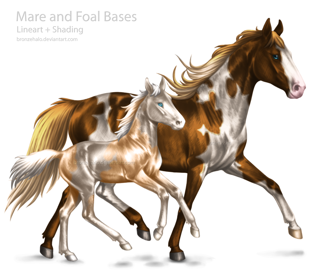 Mare and Foal Bases