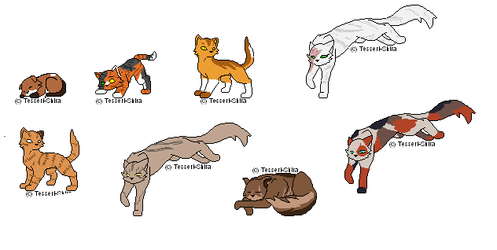 Cat Adopts For Lerth