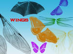 Wing Pack - NOT bird wings by supaslimstock