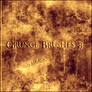 Grunge Brushes 8