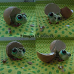 Frog - images pack 2 by ShiStock