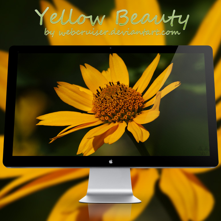 Yellow Beauty V