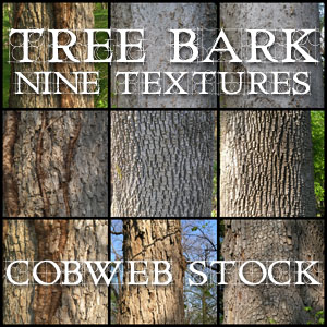 Wood:  Bark Texture Pack