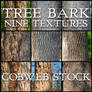 Wood:  Bark Texture Pack