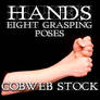 Hands: Grasping Pose Pack