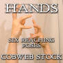 Hands:  Reaching Pose Pack