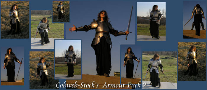 Armour Pack 2
