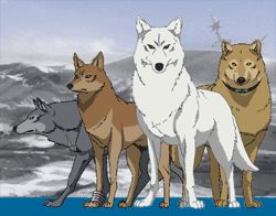 Wolf's Rain Hentai