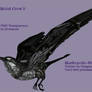 Metal Crow 3 - Jan18 08