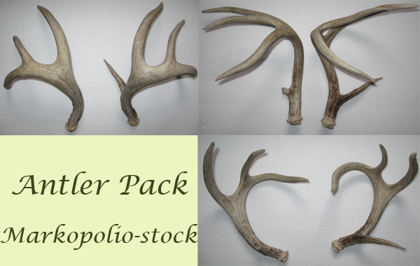 Antler Pack - Feb11 08