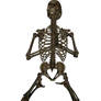 Skeleton - Praying Front