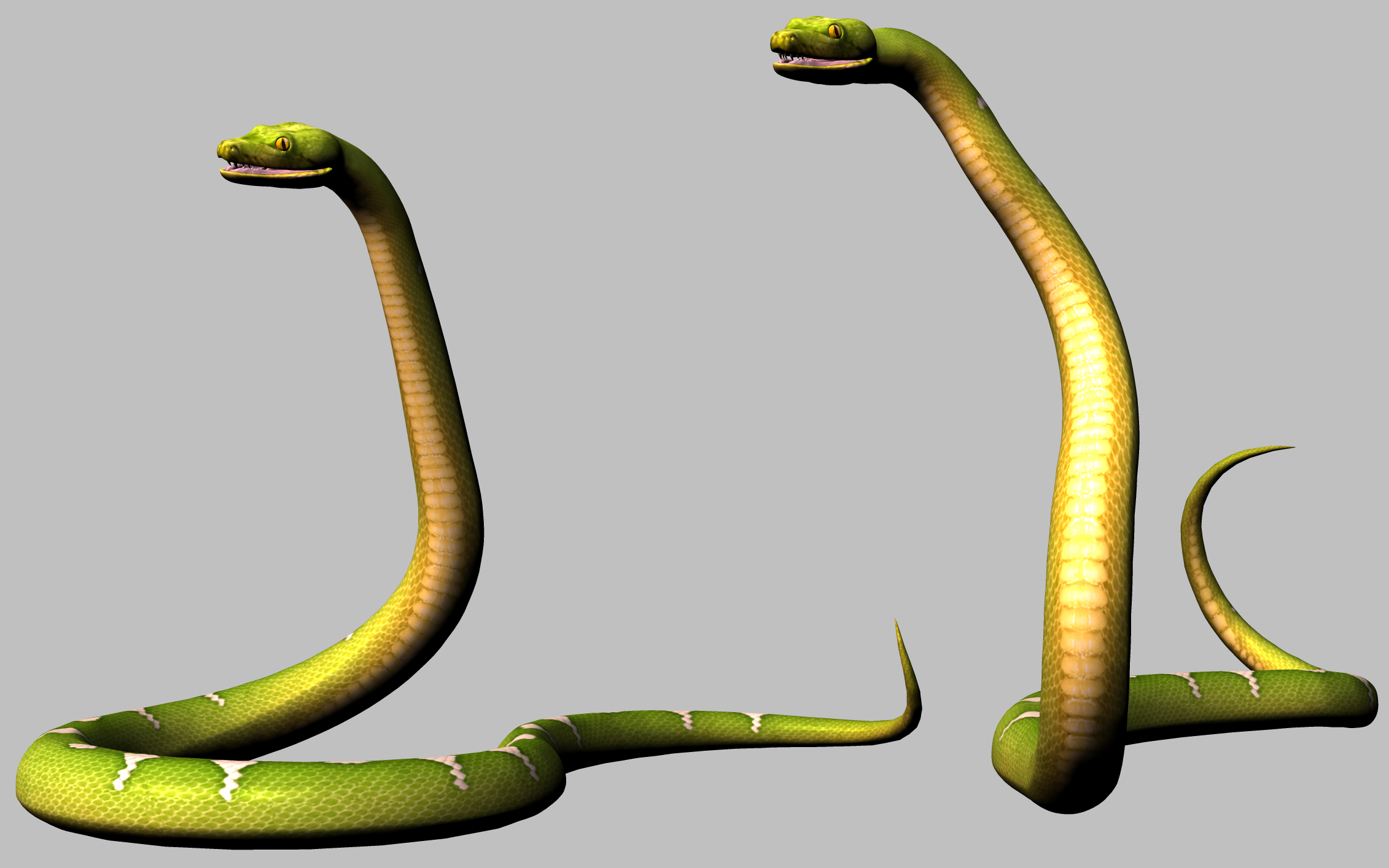 Snake 2