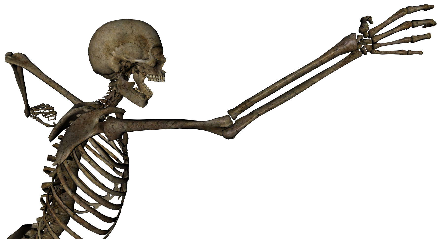 Skeleton Grasping 1 by markopoliostock on DeviantArt