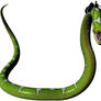 Snake - With Saddle 4