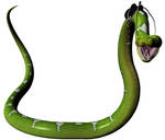 Snake - With Saddle 4