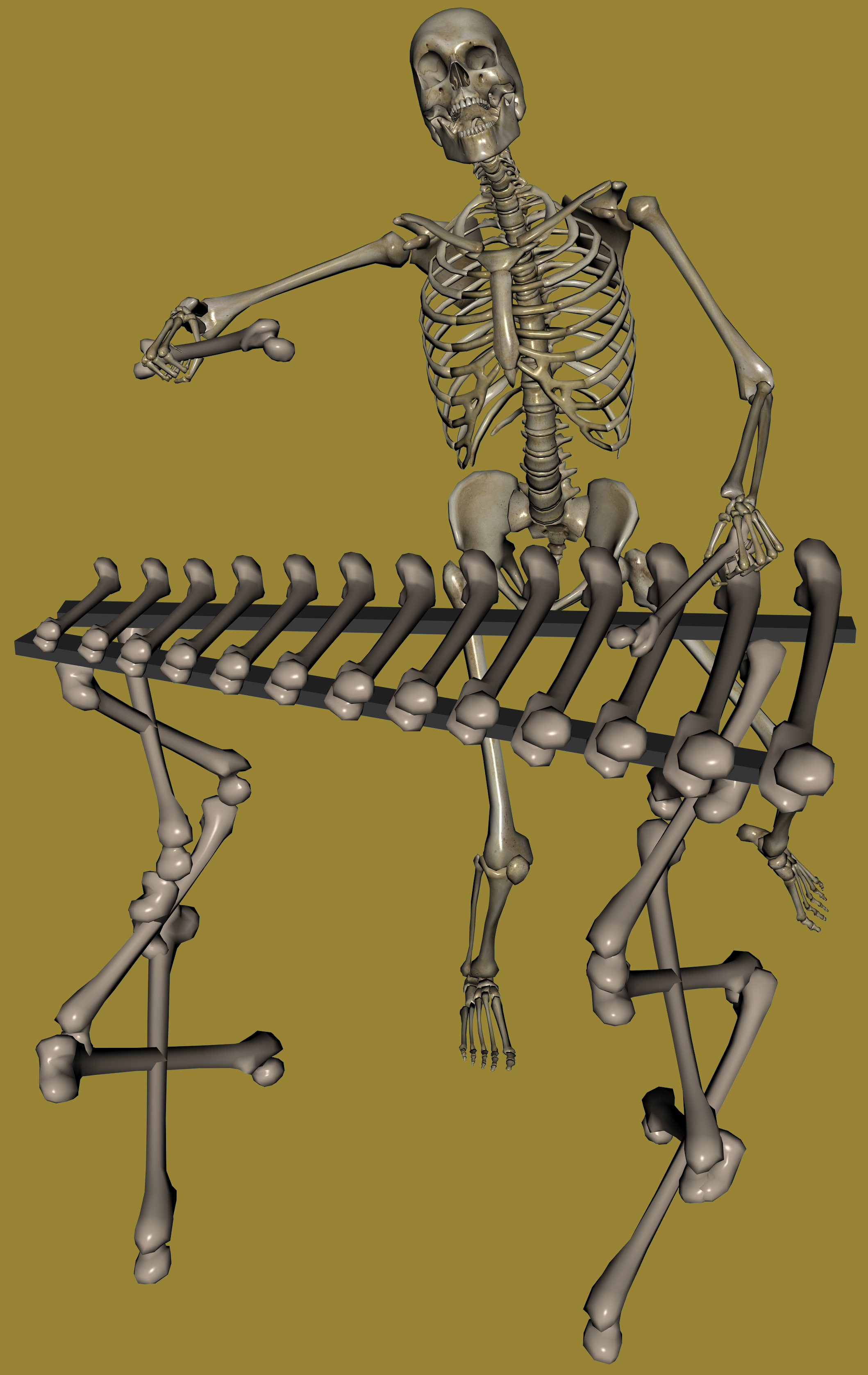 Bone Xylophone