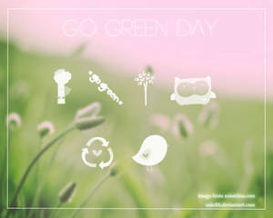 Go Green Day Brushes