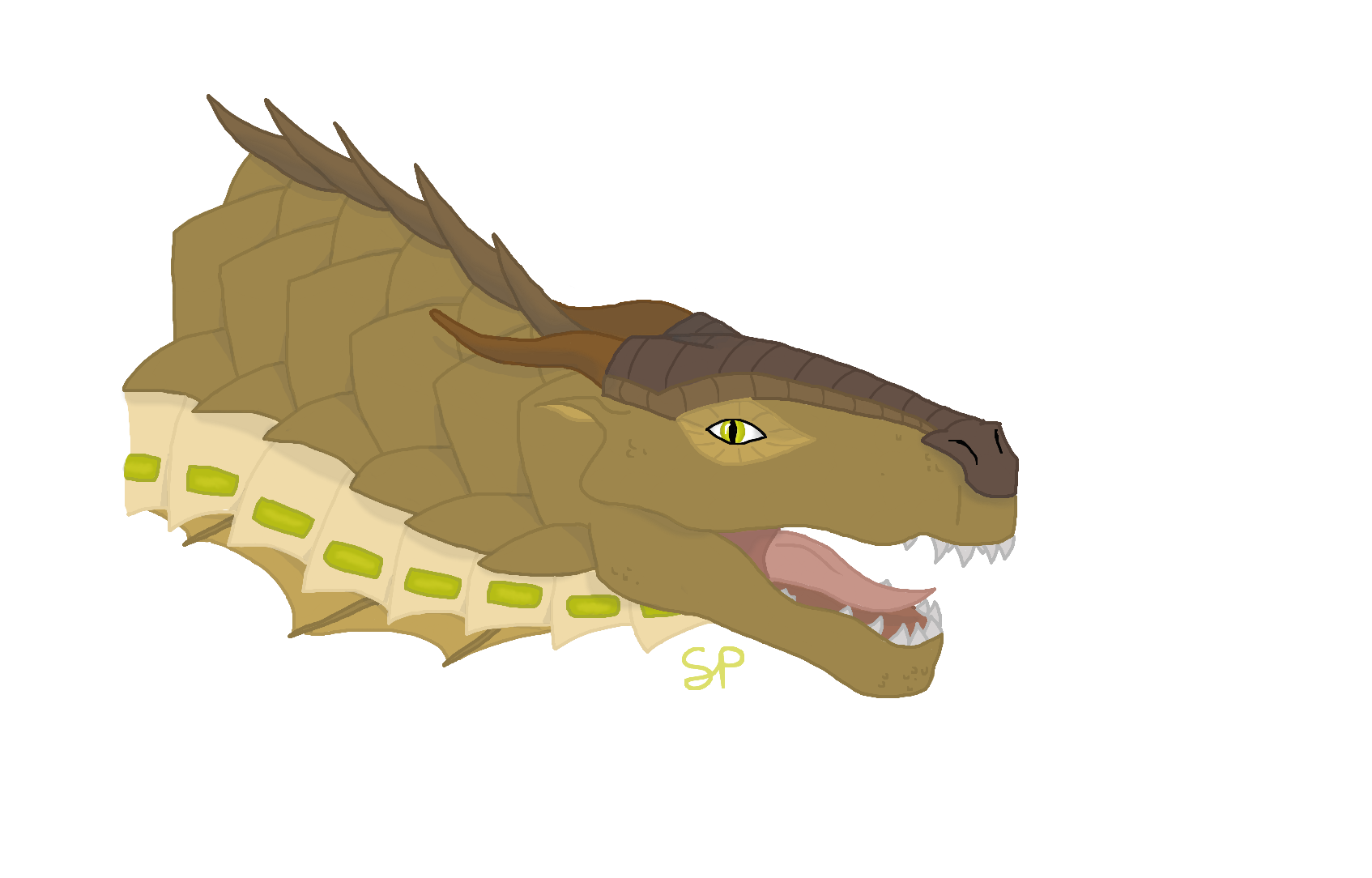 Caiman by Shallowpond on DeviantArt