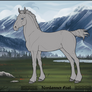 Nordanner Foal Lines