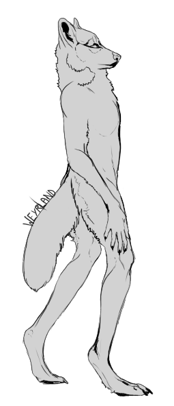Free Wolf Anthro Lineart by Weyrland on DeviantArt