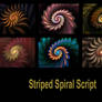 Striped Spiral Script