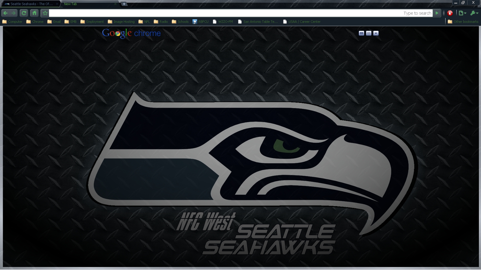 Seattle Seahawks 2010 DP Theme