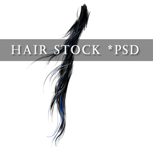 - Hair Stock PNG -