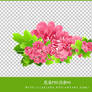 flower png