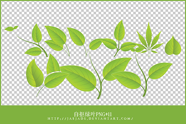 green leaves png