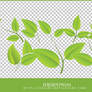 green leaves png
