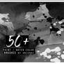 50+ paint / water color brush pack